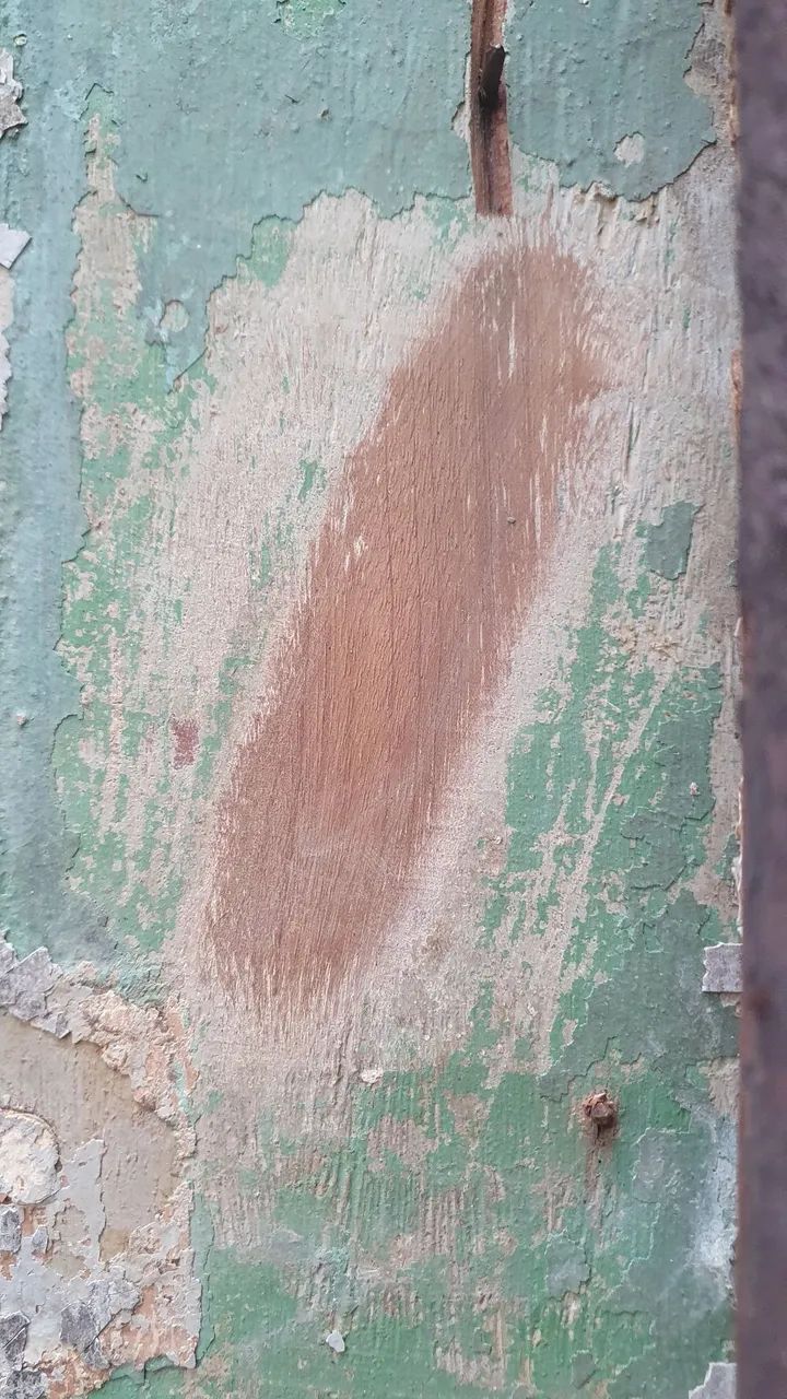 Madeira amarelo vinhático - Foto 2