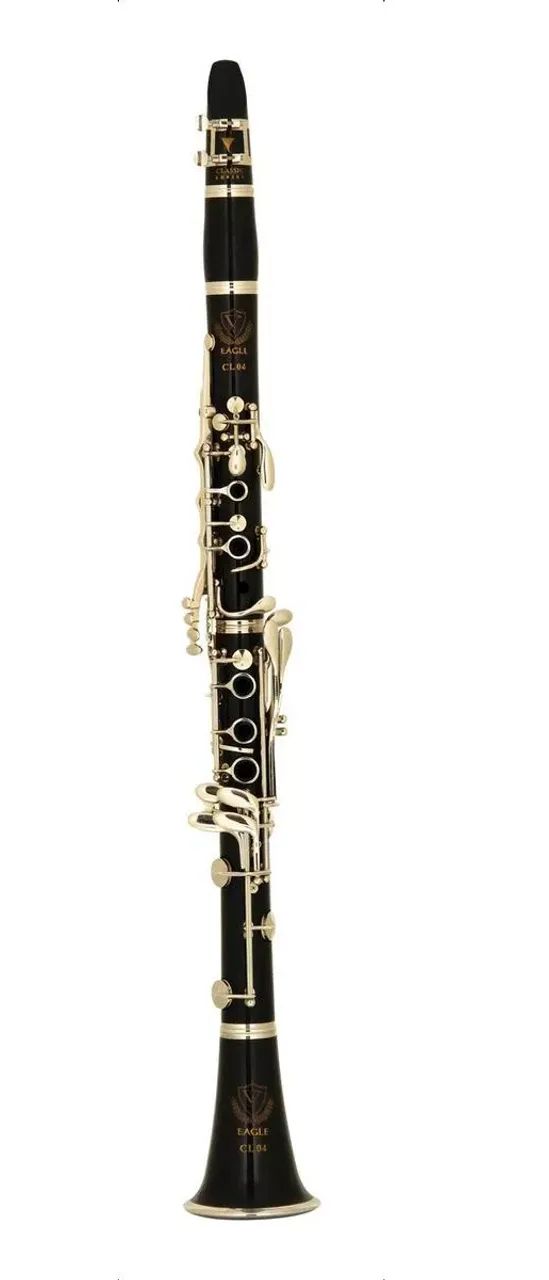 Clarinete Eagle 17 Chaves Sib NOVO c/ NF - 10X no cartão - Envio p/ todo Brasil - Foto 3