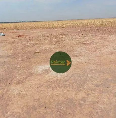 Fazenda à venda, 20000 m² por R$ 85.000.000,00 - Zona Rural - Água Boa/MT - Foto 3