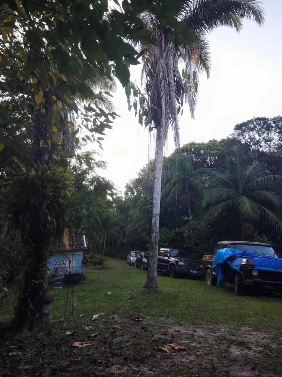 Chácara 9.500m² Vila Loty  - Itanhaém - Foto 2