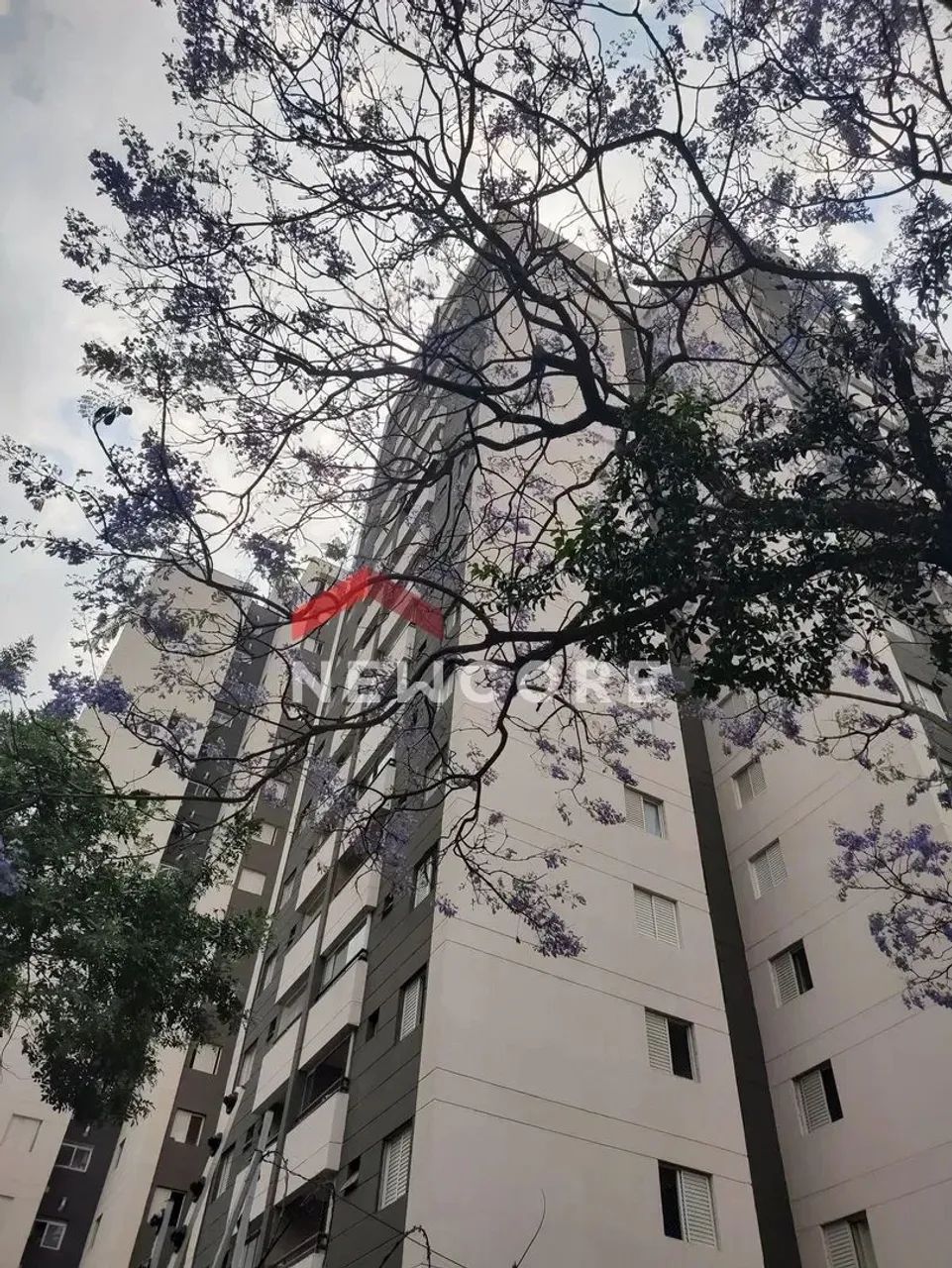 Apartamento em Avenida Deputado Emílio Carlos - Limão - São Paulo/SP