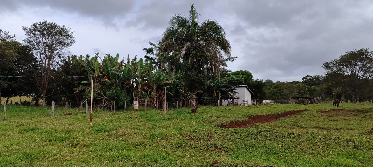 Chácara em Avelinópolis