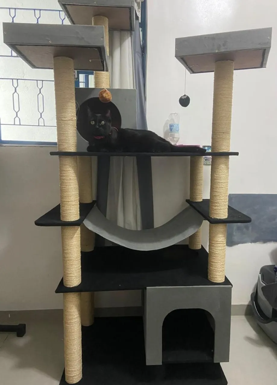 Arranhador para gatos com nicho e plataformas