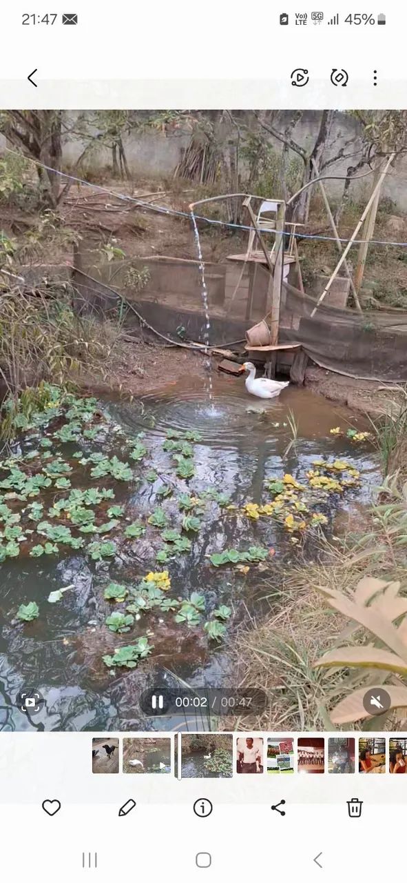 VENDA SITIO - Foto 6