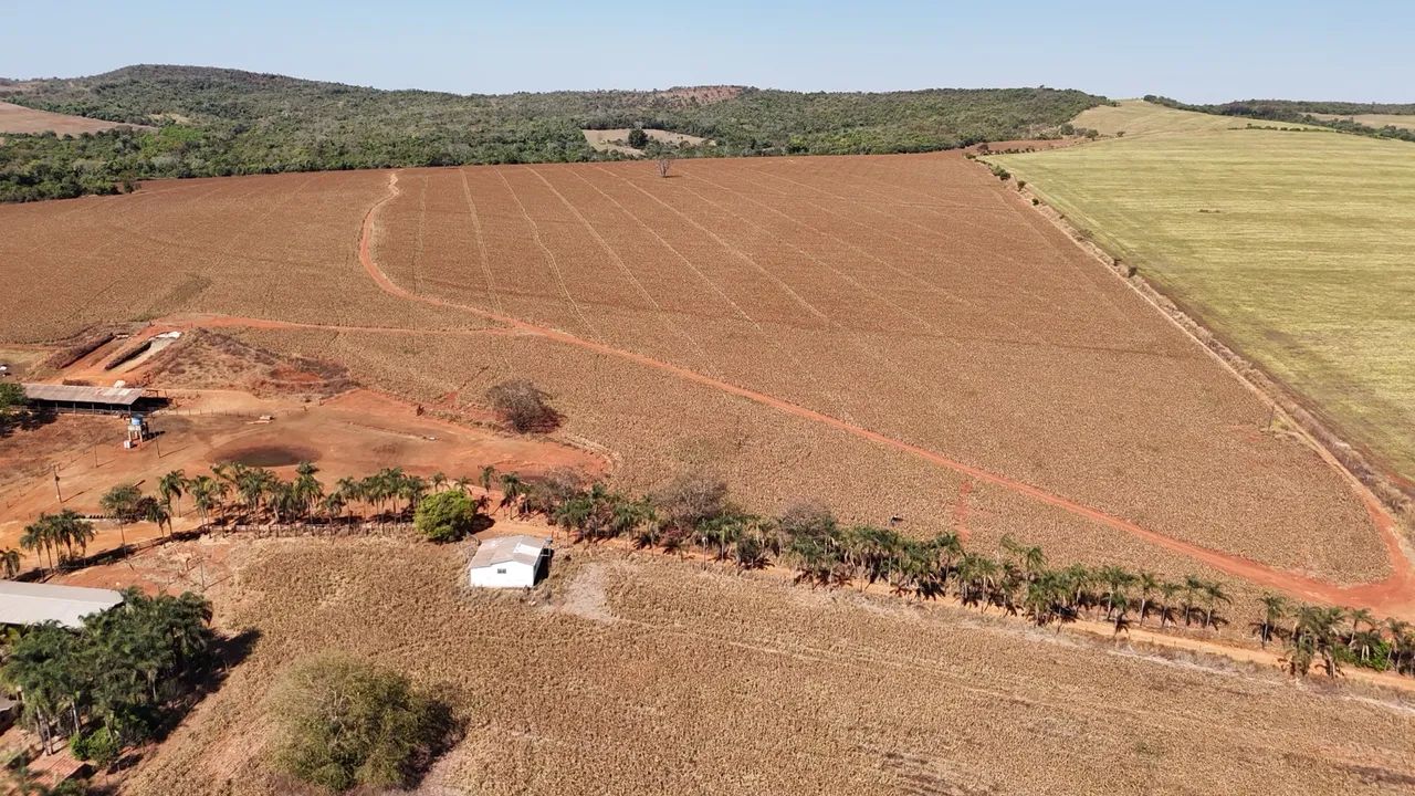 Fazenda px Anápolis 