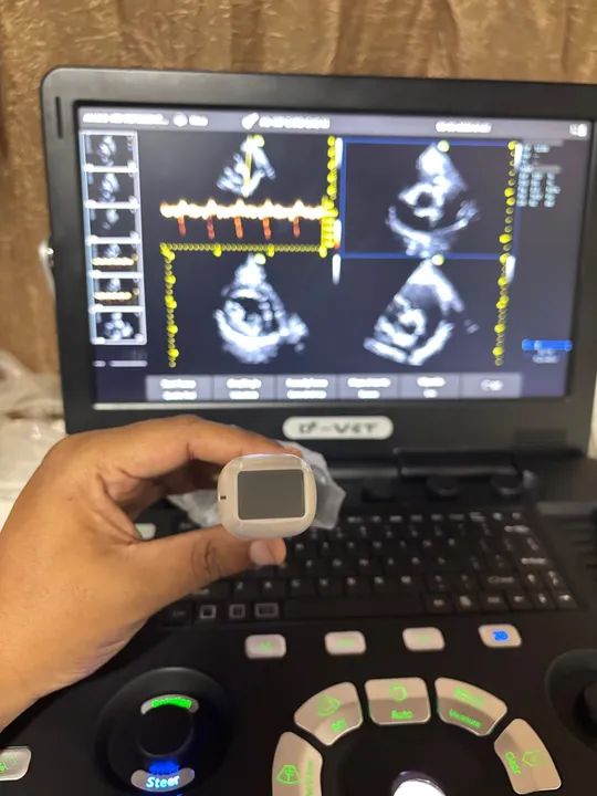 Ultrassom Veterinário 