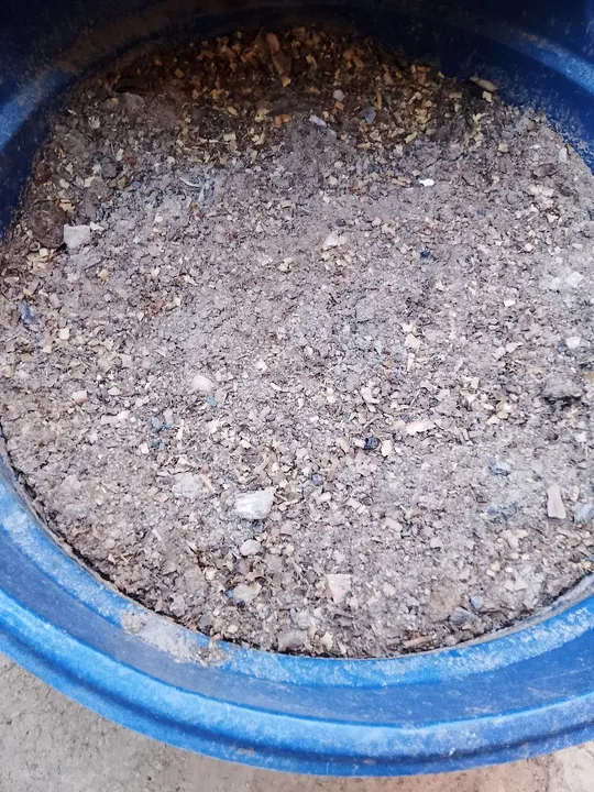 Compostagem de codorna.