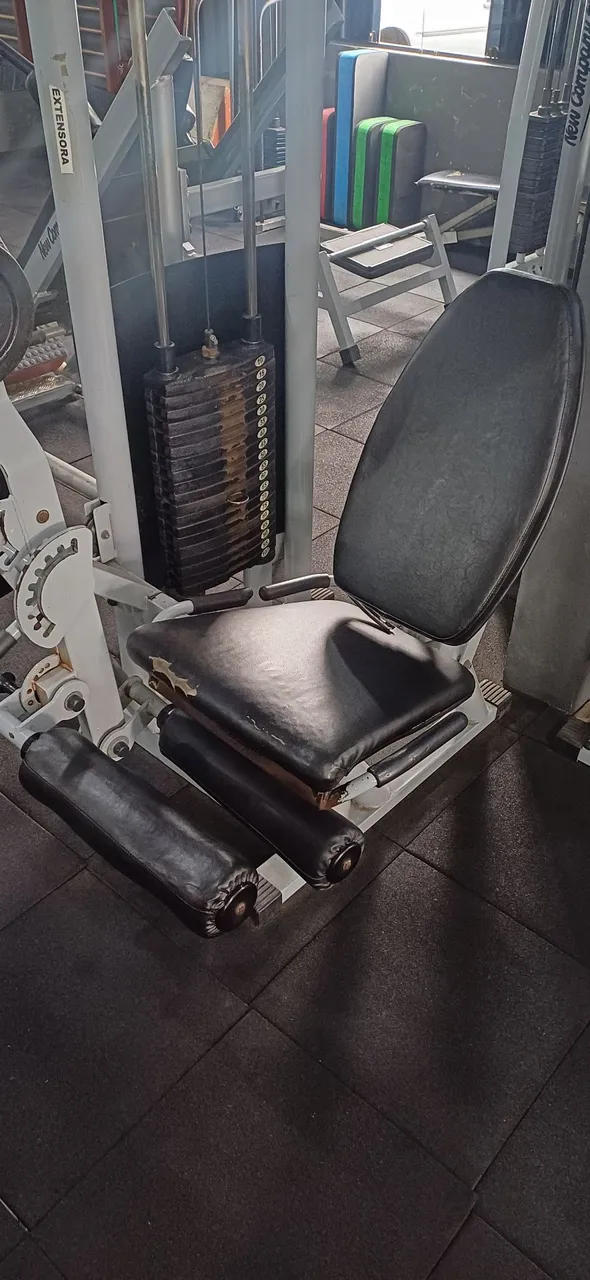 Cadeira conjugada extensora/flexora "Mega Training"