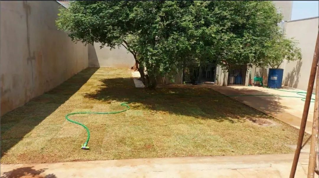 Gramas de alta qualidade apartir de 6, 99 ó m2 já plantado. - Foto 3