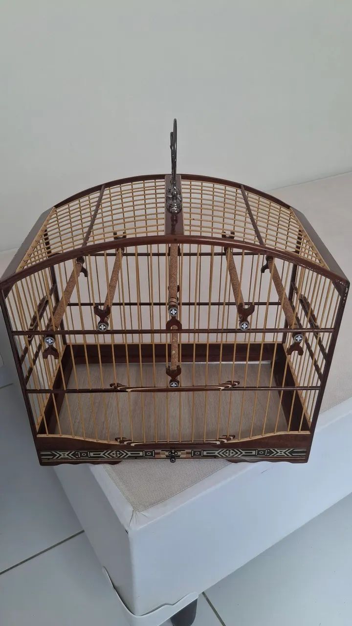 Gaiola padrão torneio 