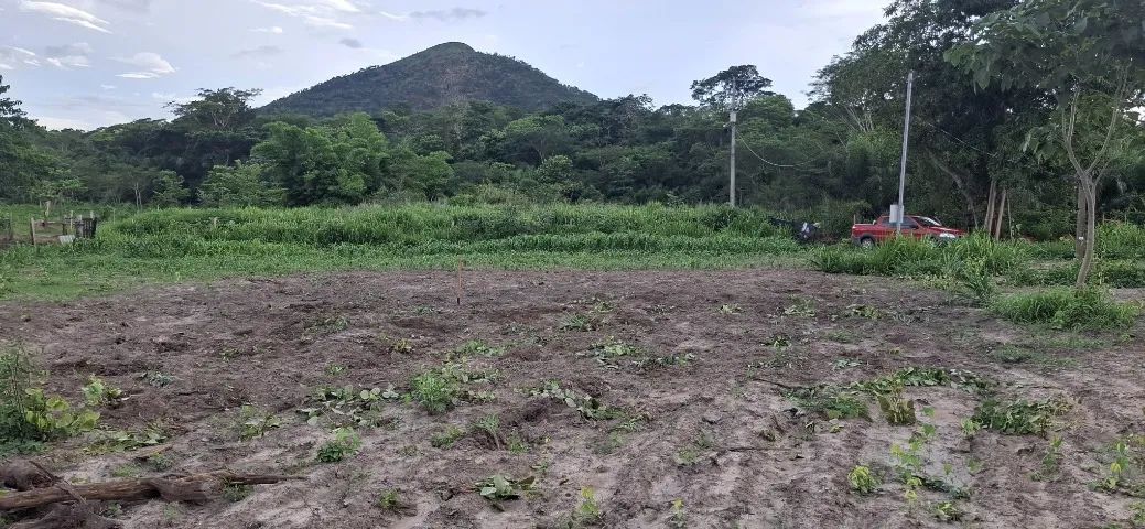 Chácara 2 hectares no Morro de Sto Antonio 