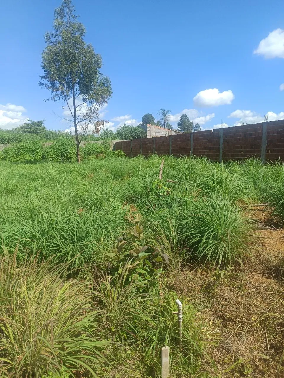 Lote na 26 de setembro 