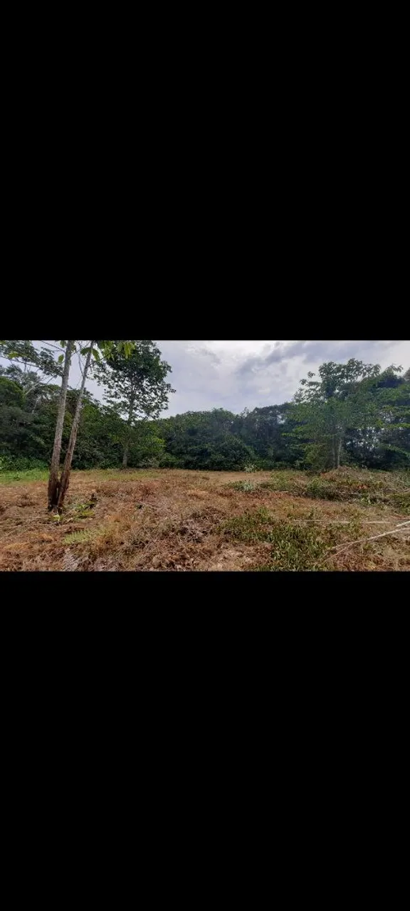 Terreno