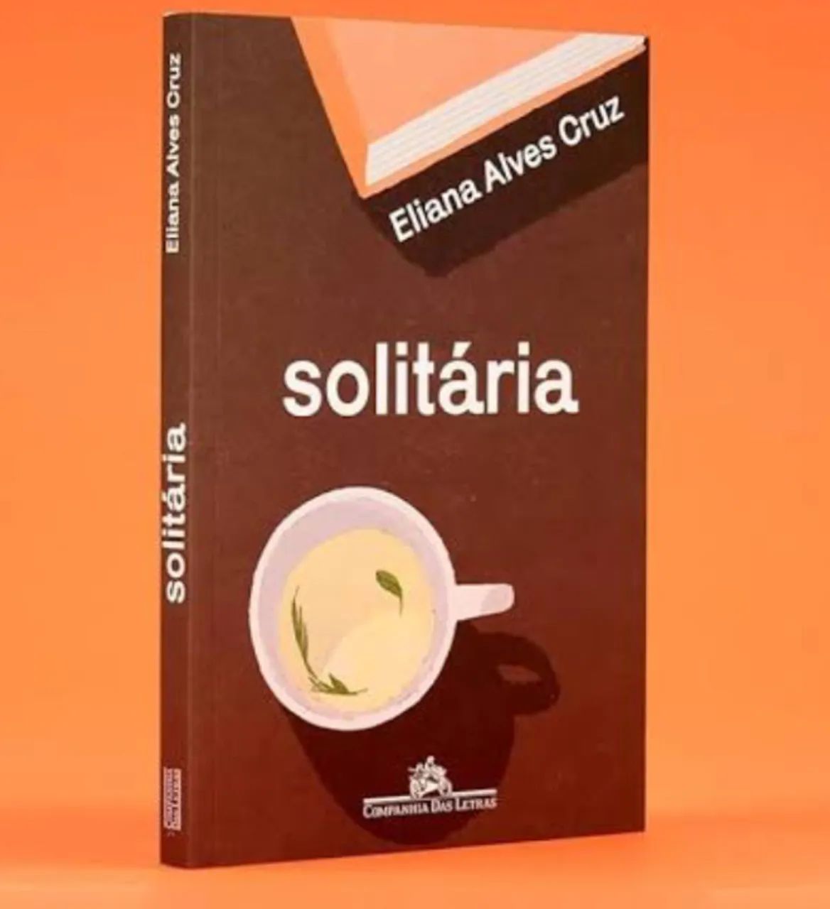 Solitária - Eliana Alves Cruz