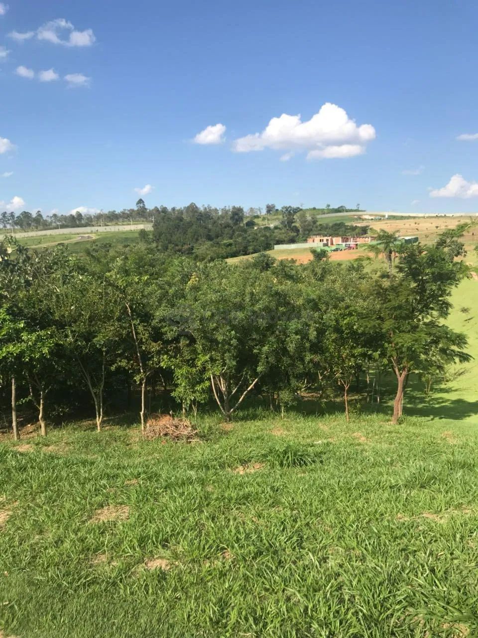 terreno - Loteamento Residencial Pedra Alta (Sousas) - Campinas - Foto 3