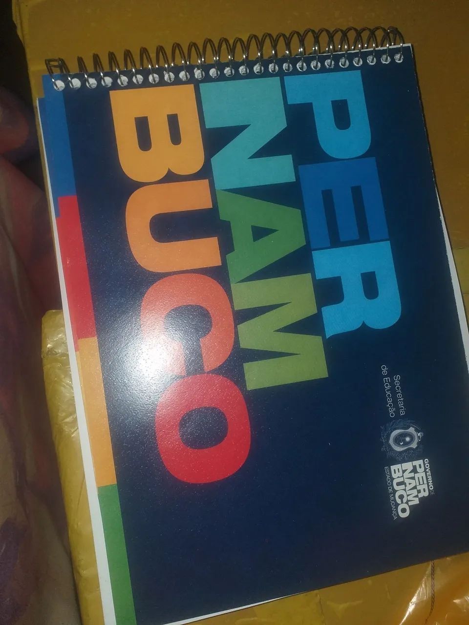 2 cadernos de desenhos novos