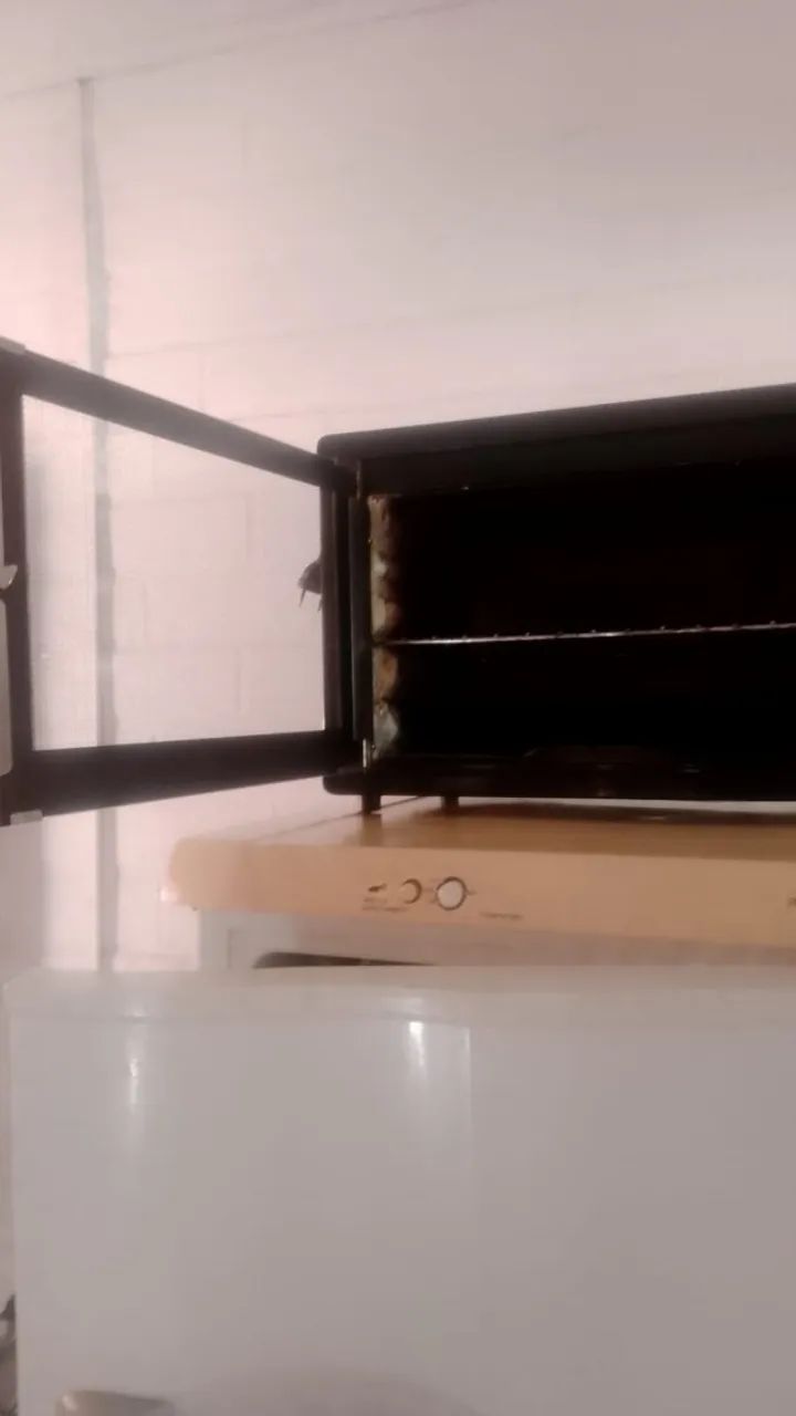 Forno Elétrico PHILCO 30L - Foto 2