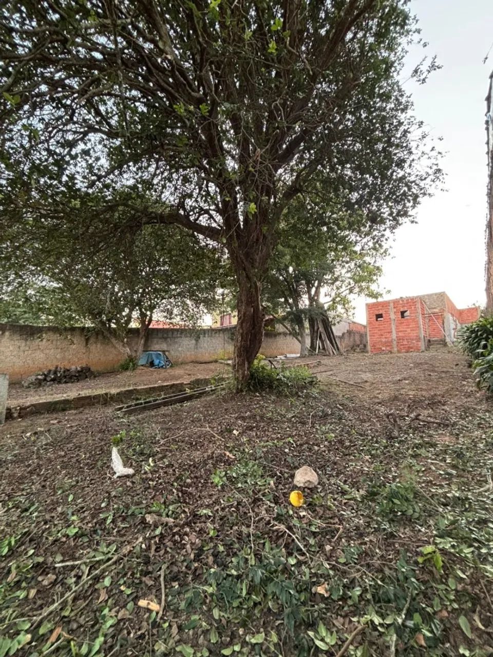 Casa com terreno grande  - Foto 5