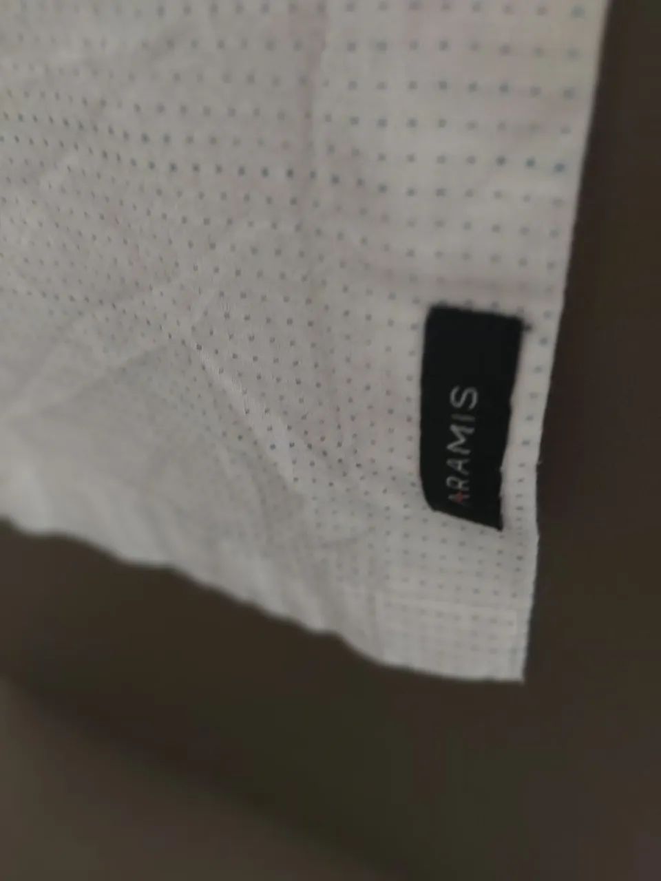Camisa de linho Aramis