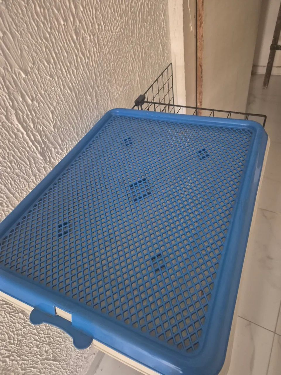 Sanitario para cachorro