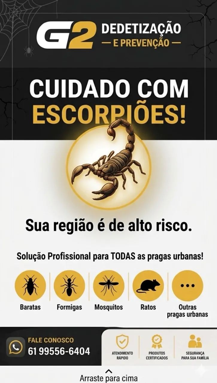 Dedetização