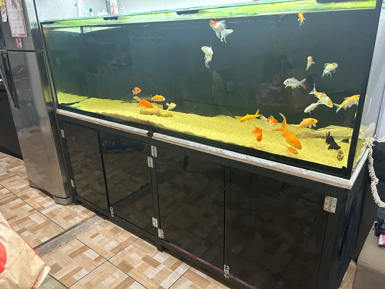 Aquário 2metros por 3500 - Foto 3