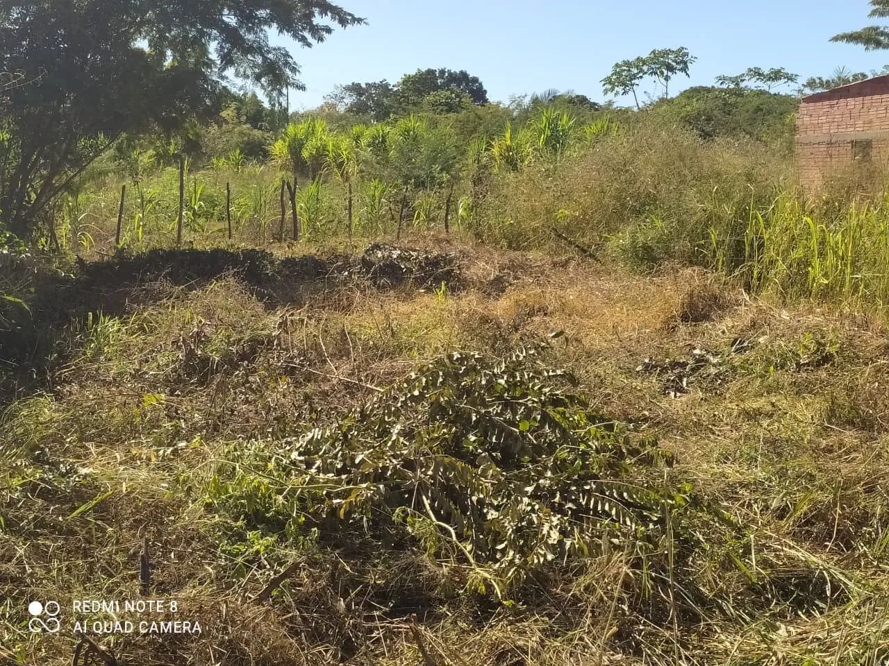 Terreno no povoado Boa Hora - Foto 4