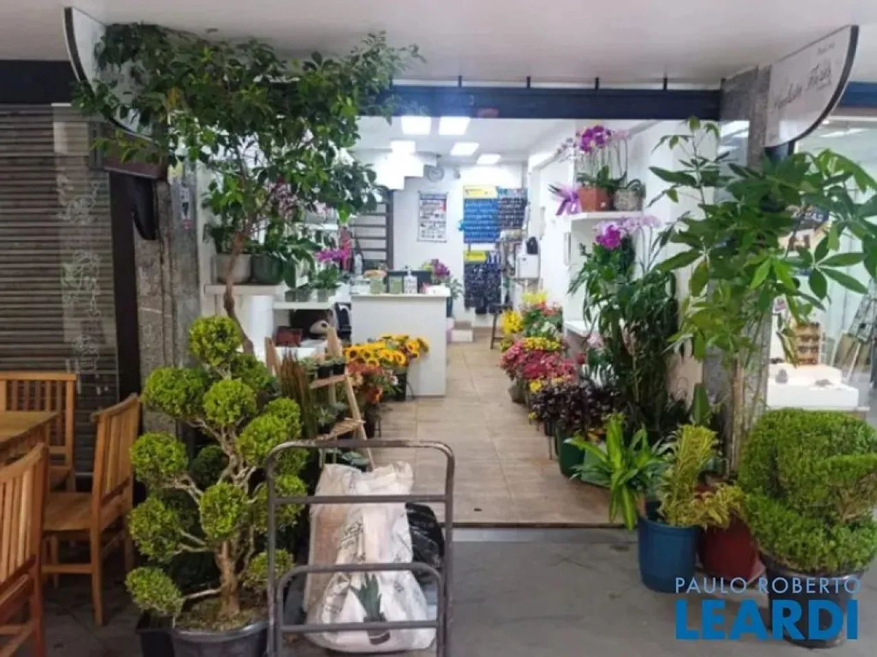 LOJA - BELA VISTA - SP - Foto 2