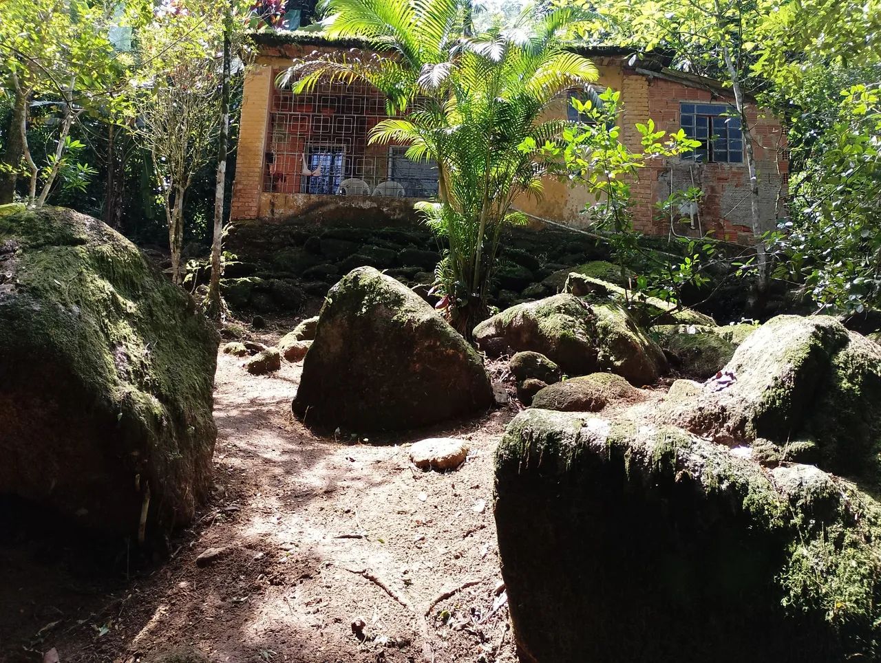 Terreno  - Foto 5