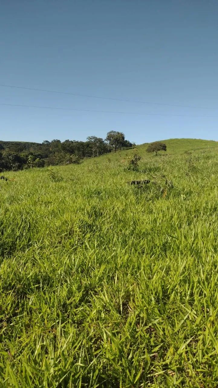 Chácara bela vista  - Foto 3