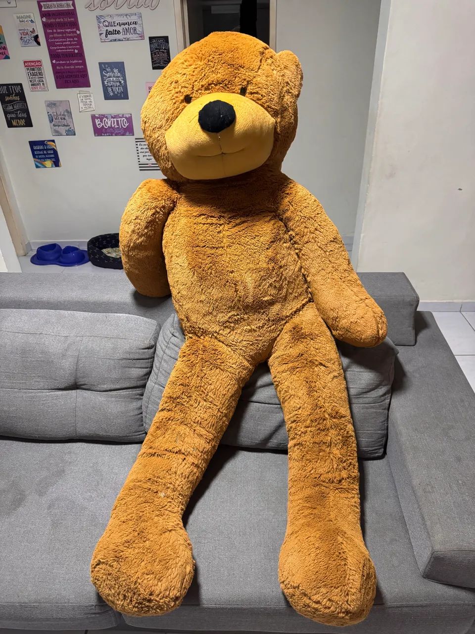 Urso de Pelúcia 