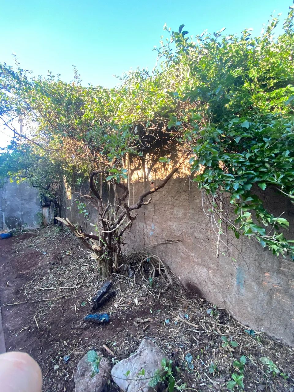 Vendo casa  - Foto 4