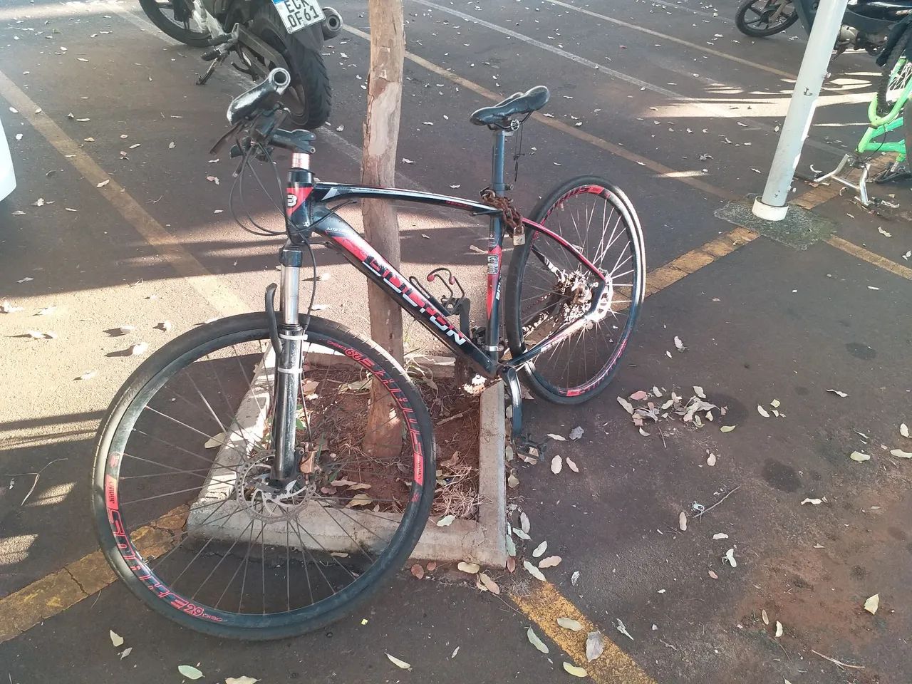 Bicicleta  - Foto 3