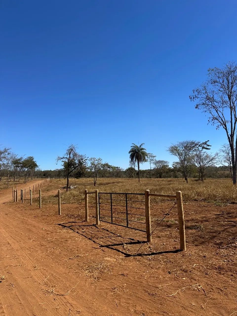 Área 5.000m2 Matozinhos - Foto 3