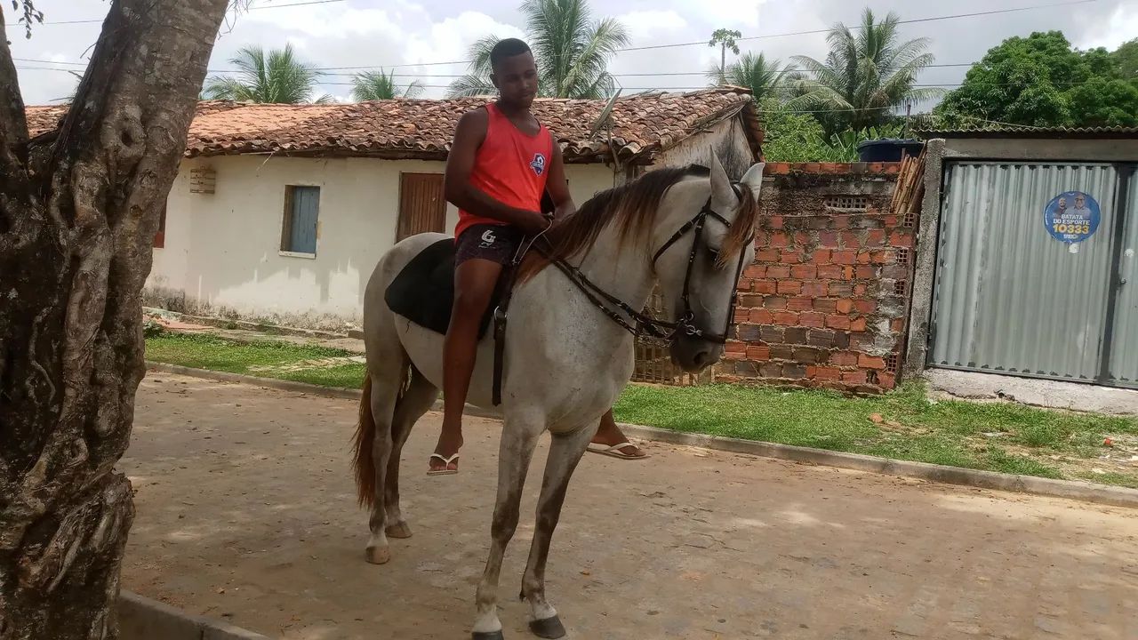 POTRA MM  DE PICADO GENUÍNO - Foto 3