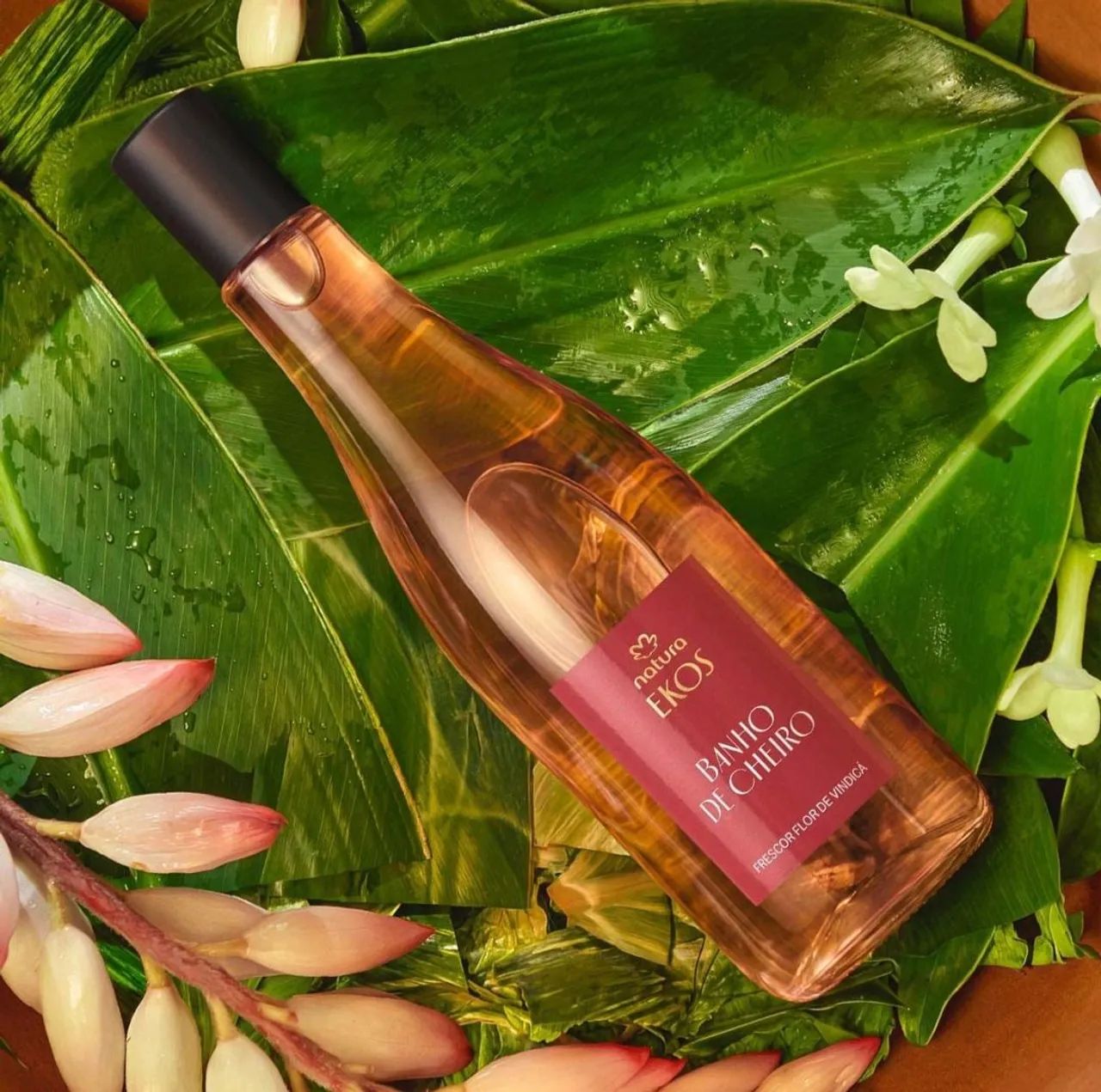 Kit Bromélia e Vindicá (LOccitane Au Brésil e Natura) - Foto 4
