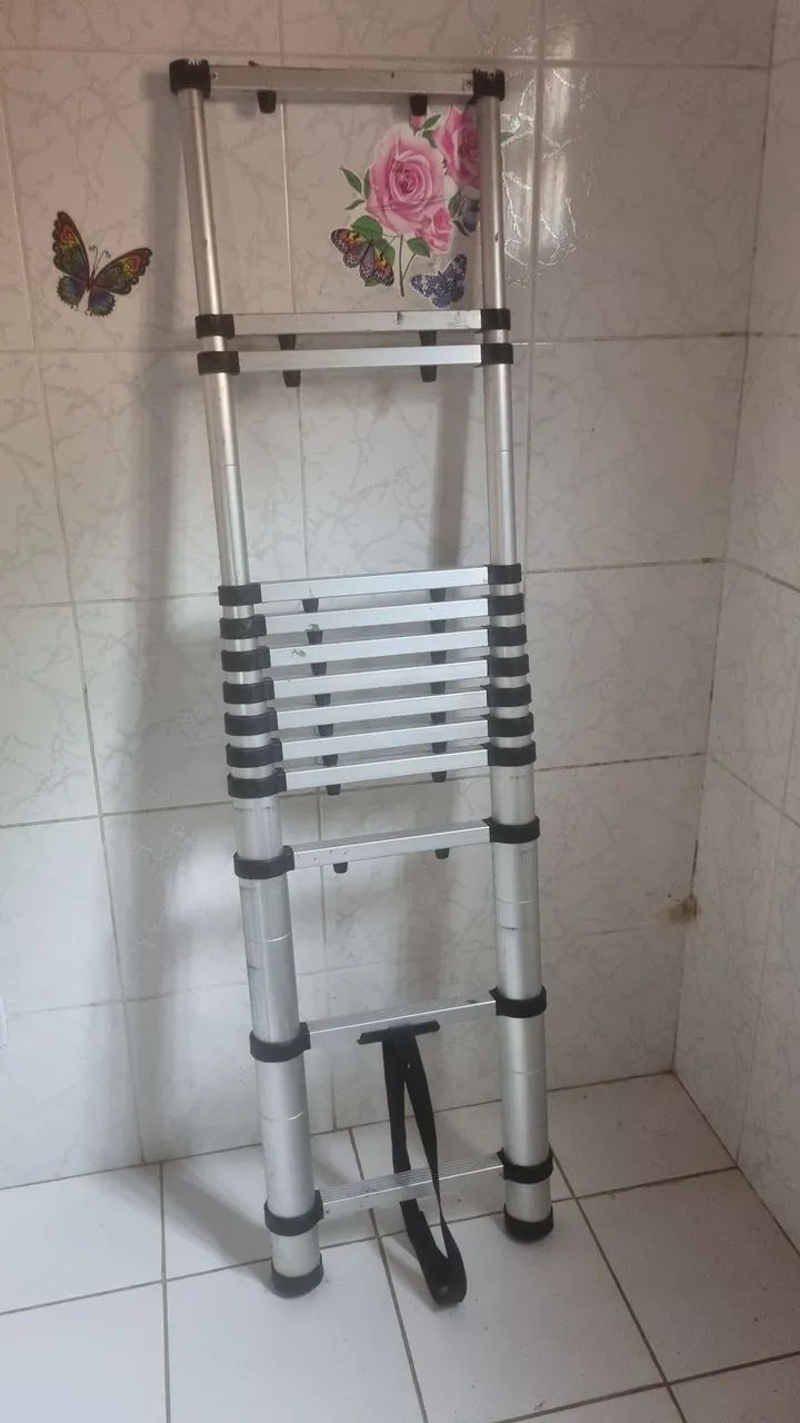 Nakasaki Telescopic Ladder 4.8 Meters
 Alansanto