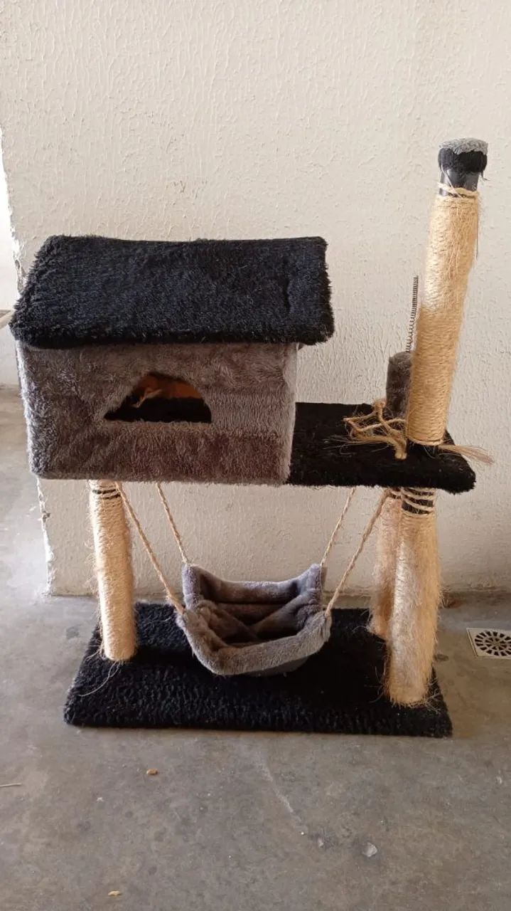  casa pra gatos