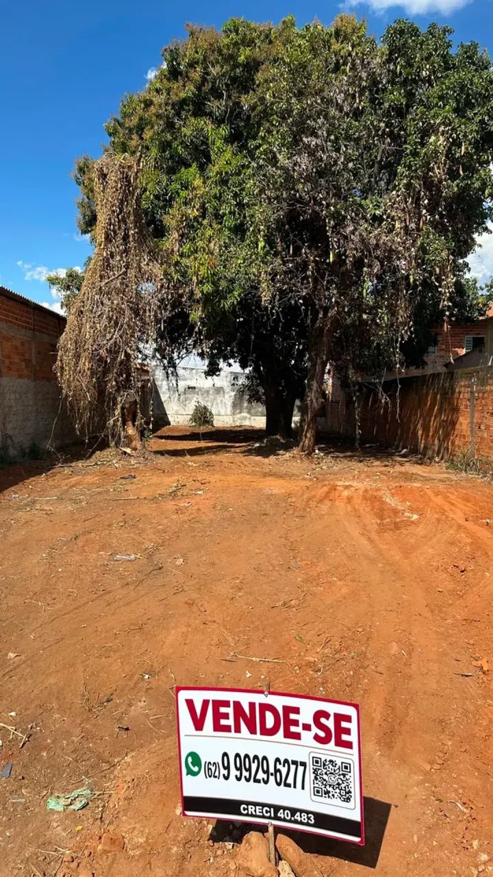 Lote Grande à Venda