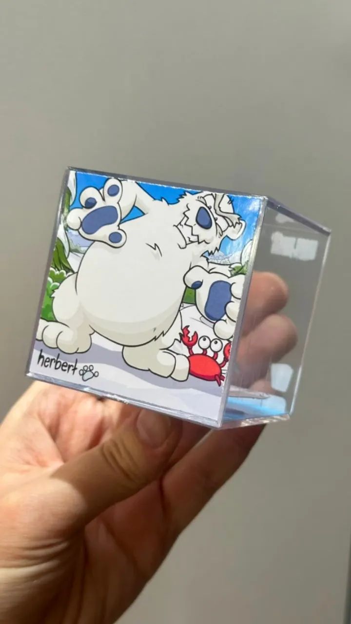 Diorama Club Penguin | Cubo Acrílico - Foto 5