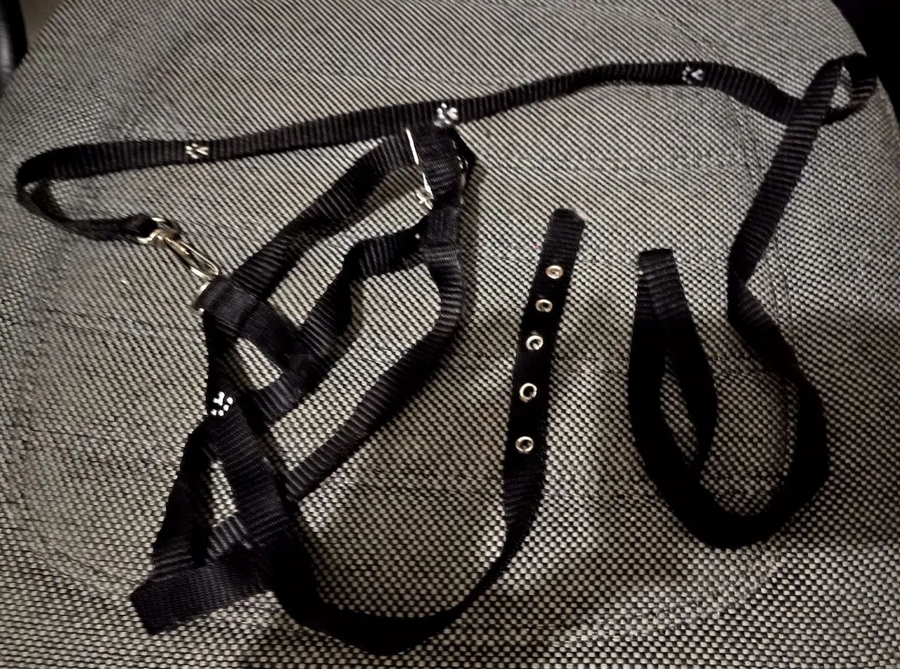 KIT COMPLETO ESTÉTICA E PASSEIO PET + MALETA DE VIAGEM