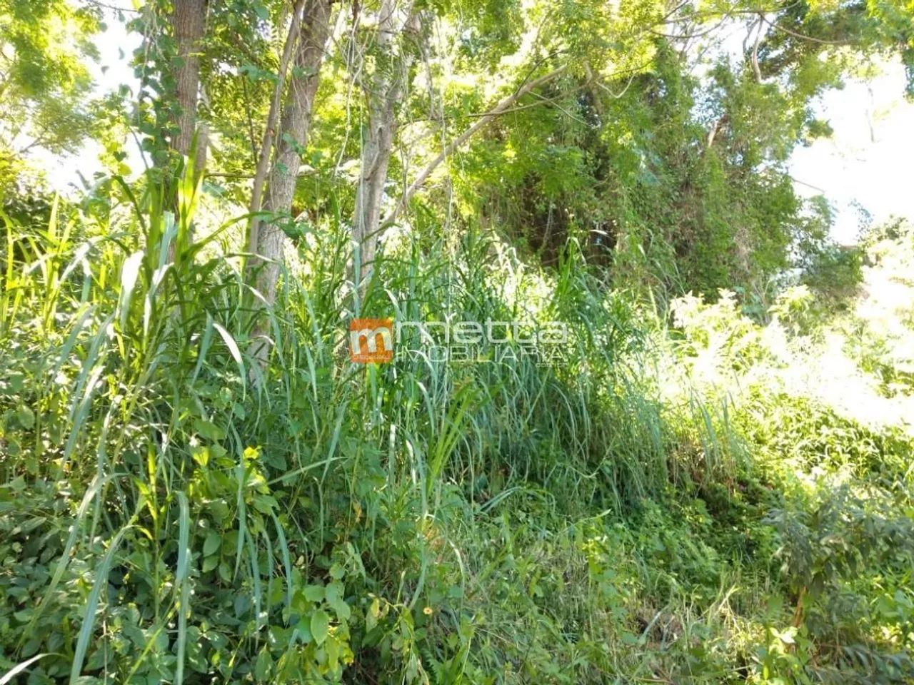 Terreno à venda, 480 m² no Saco Grande - Florianópolis/SC