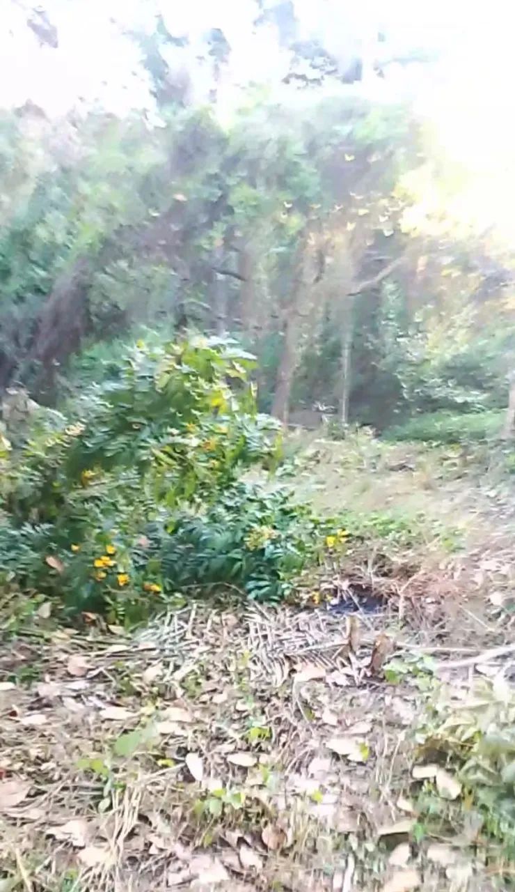 Terreno com riacho  - Foto 3