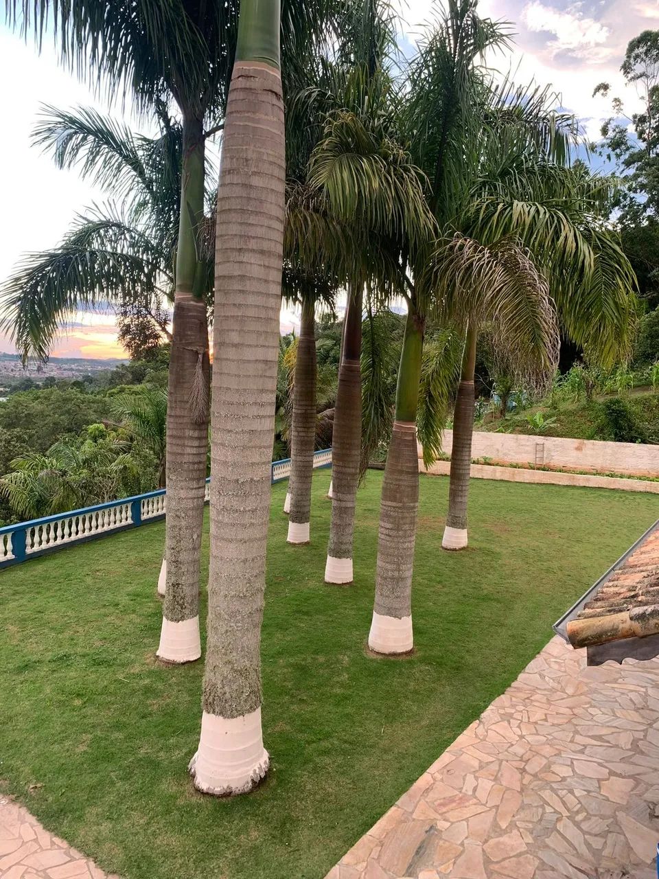 Sítio à venda com 5000m² e 6 quartos - Foto 4