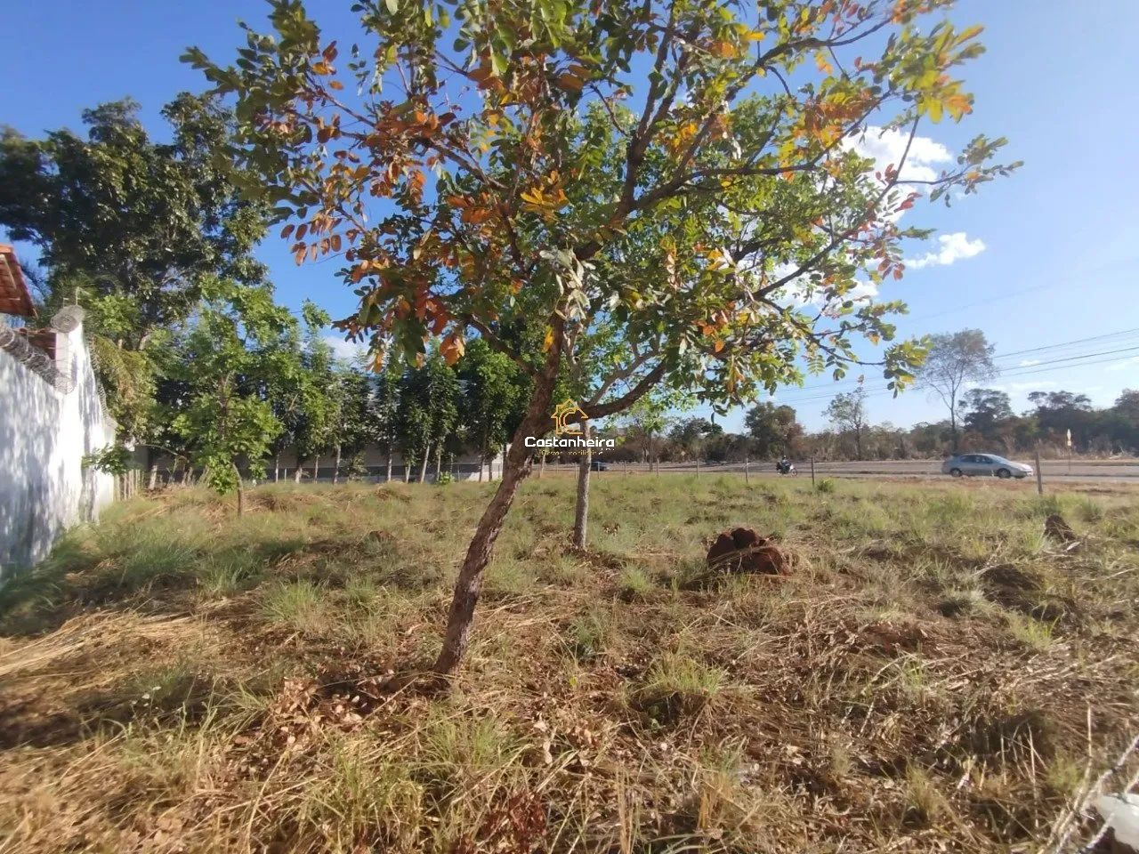 Lote|Terreno 676 m² - Plano Diretor Norte - Centro - Foto 4