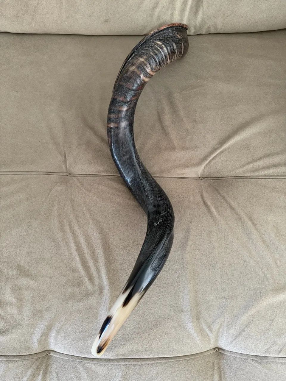 SHOFAR  - Foto 4