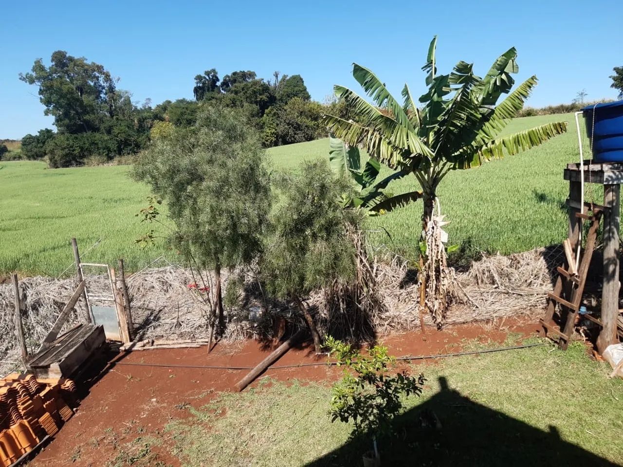 Vende-se chácara em Assai - Foto 5