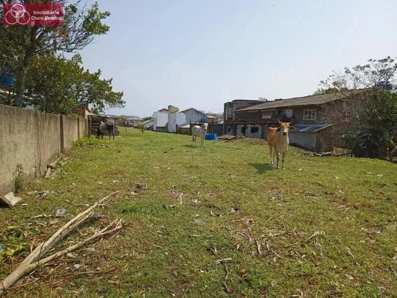 Terreno - Florianópolis SC