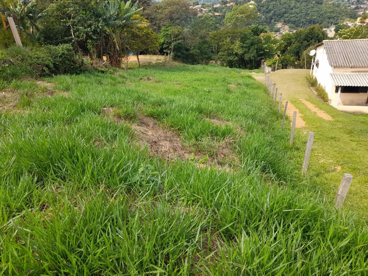 Terreno Paty do Alferes  - Foto 3