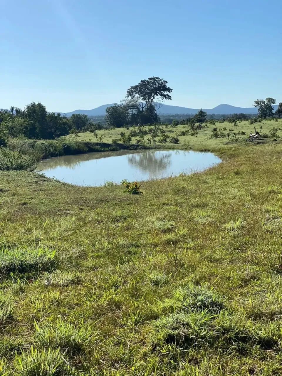 Fazenda a venda em Crixas / Goiás
